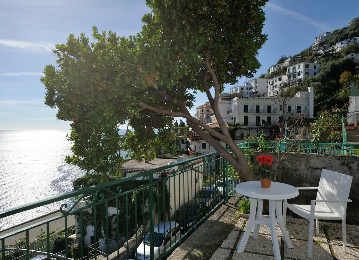 Amalfi Blue Flowers A 0*,  Italy