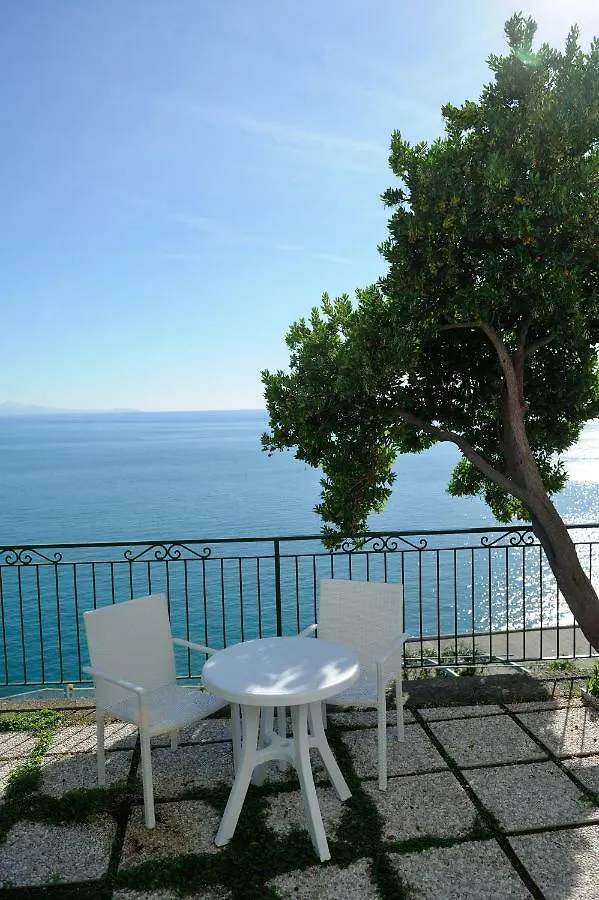 Amalfi Blue Flowers A Apartment